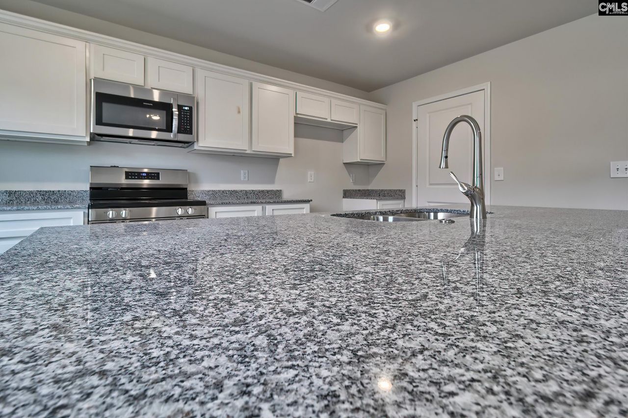 629 Marbled Teal Lane Photo 17