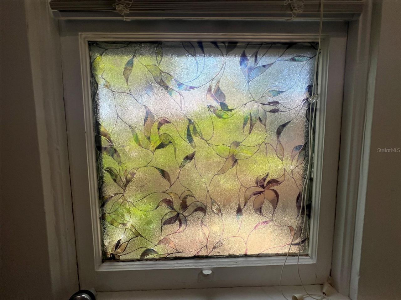 914 17th Street W, Bradenton, FL 34205 Photo