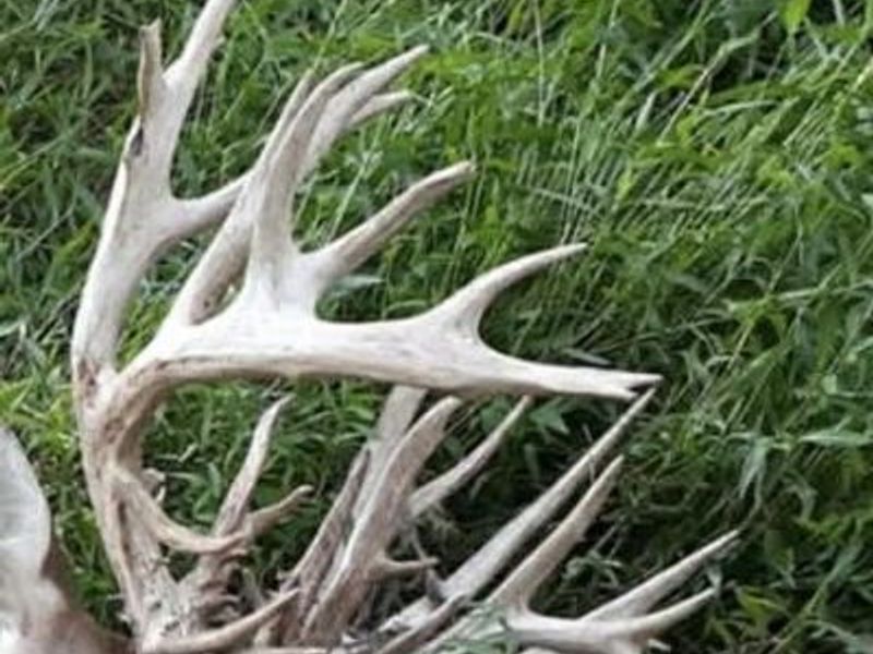 408 New Hope Road, Foster, KY 41043 Photo 36