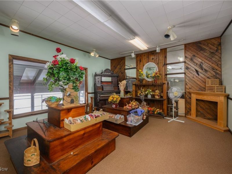 468 W Vine Street, Alliance, OH 44601 Photo 13