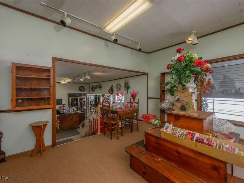 468 W Vine Street, Alliance, OH 44601 Photo 14