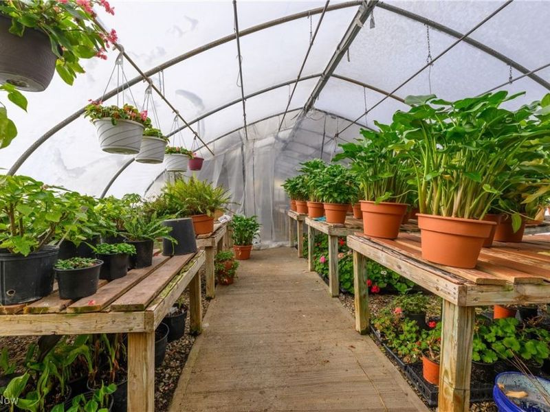 468 W Vine Street, Alliance, OH 44601 Photo 22