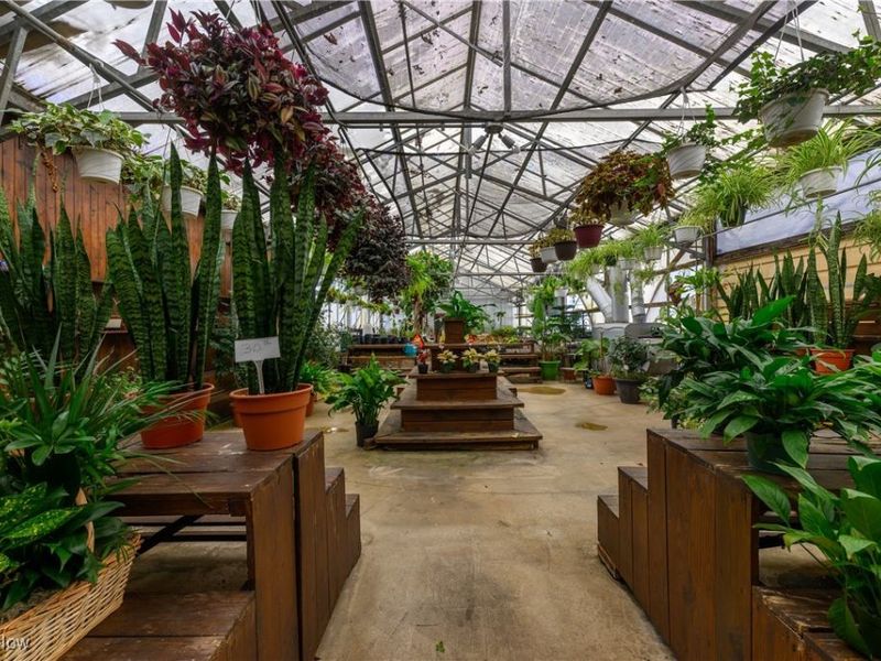 468 W Vine Street, Alliance, OH 44601 Photo 23