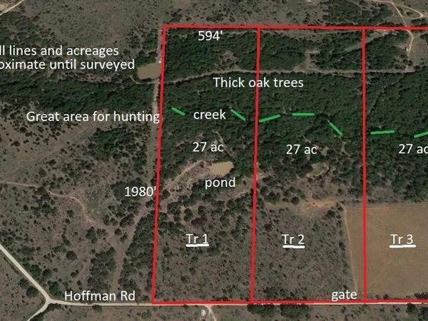 TR 1 Hoffman Road , Loving, TX 76460