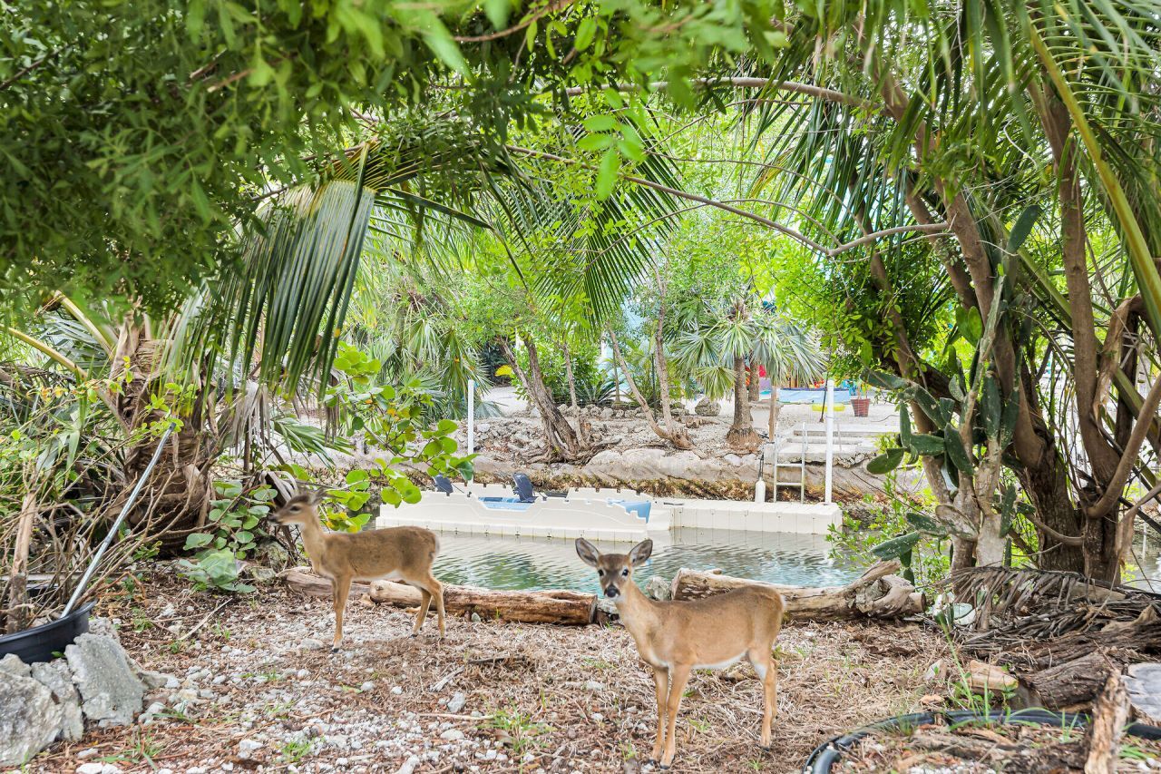 3836-3848 No Name Road, Big Pine Key, FL 33043 Photo