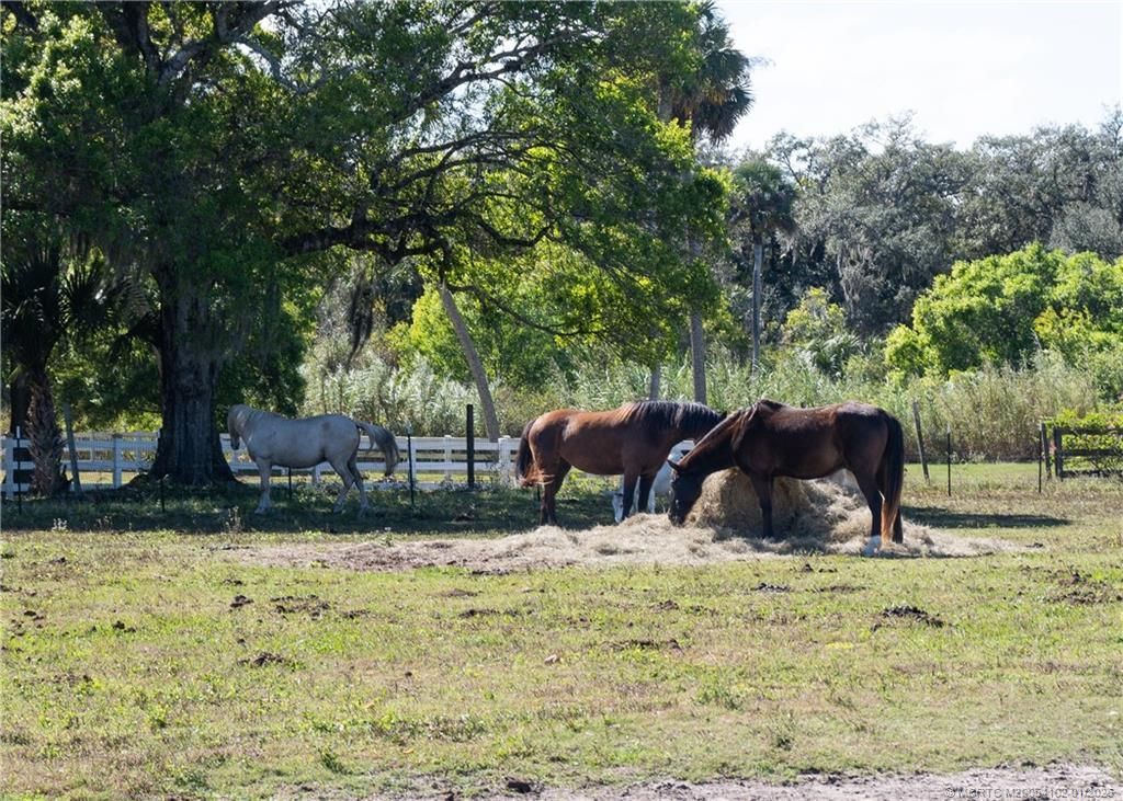 3121 Old Edwards Road, Fort Pierce, FL 34981 Photo