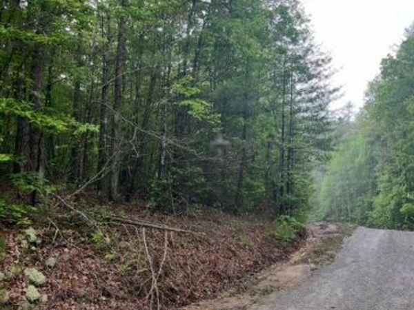 0 Possum Trot Road, Grandview, TN 37337