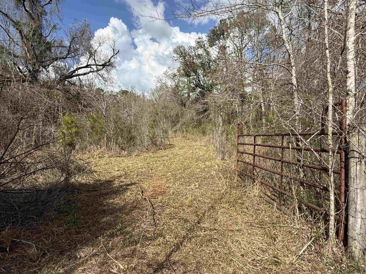 1660 W Lyman Hendry Road, Perry, FL 32347 Photo