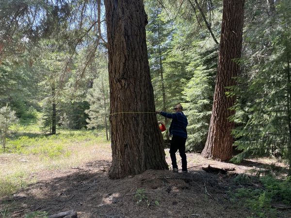 Franks Creek Road, Dayville, OR 97825