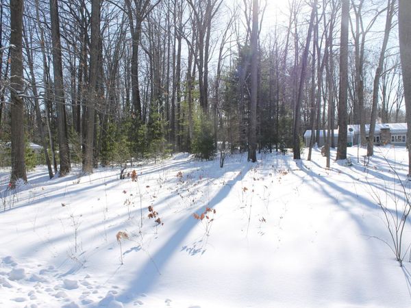 206 Middle Drive, Prudenville, MI 48651