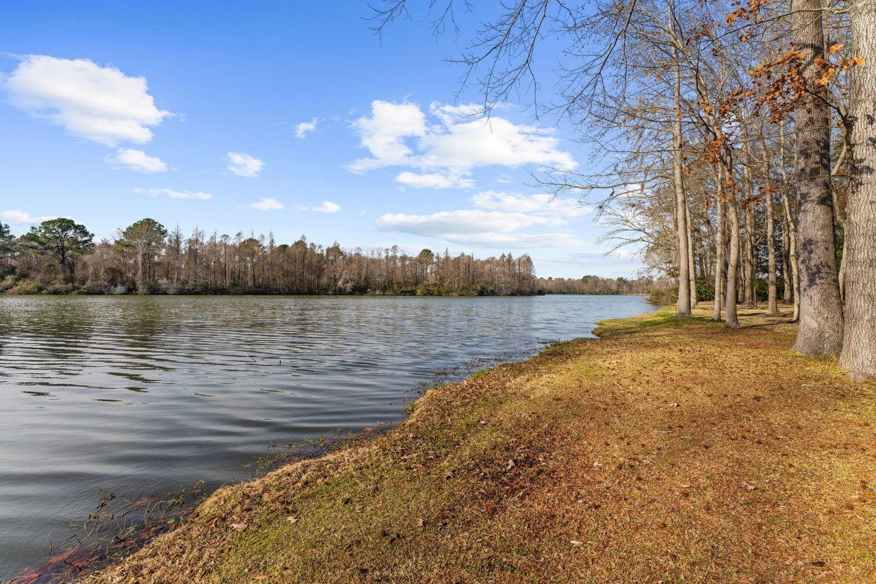 146 Loganberry Circle Photo 84