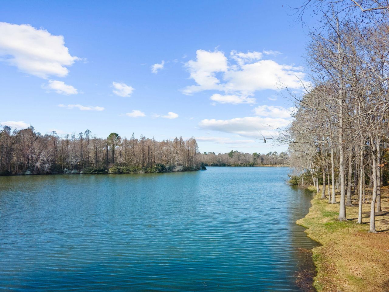 146 Loganberry Circle Photo 85