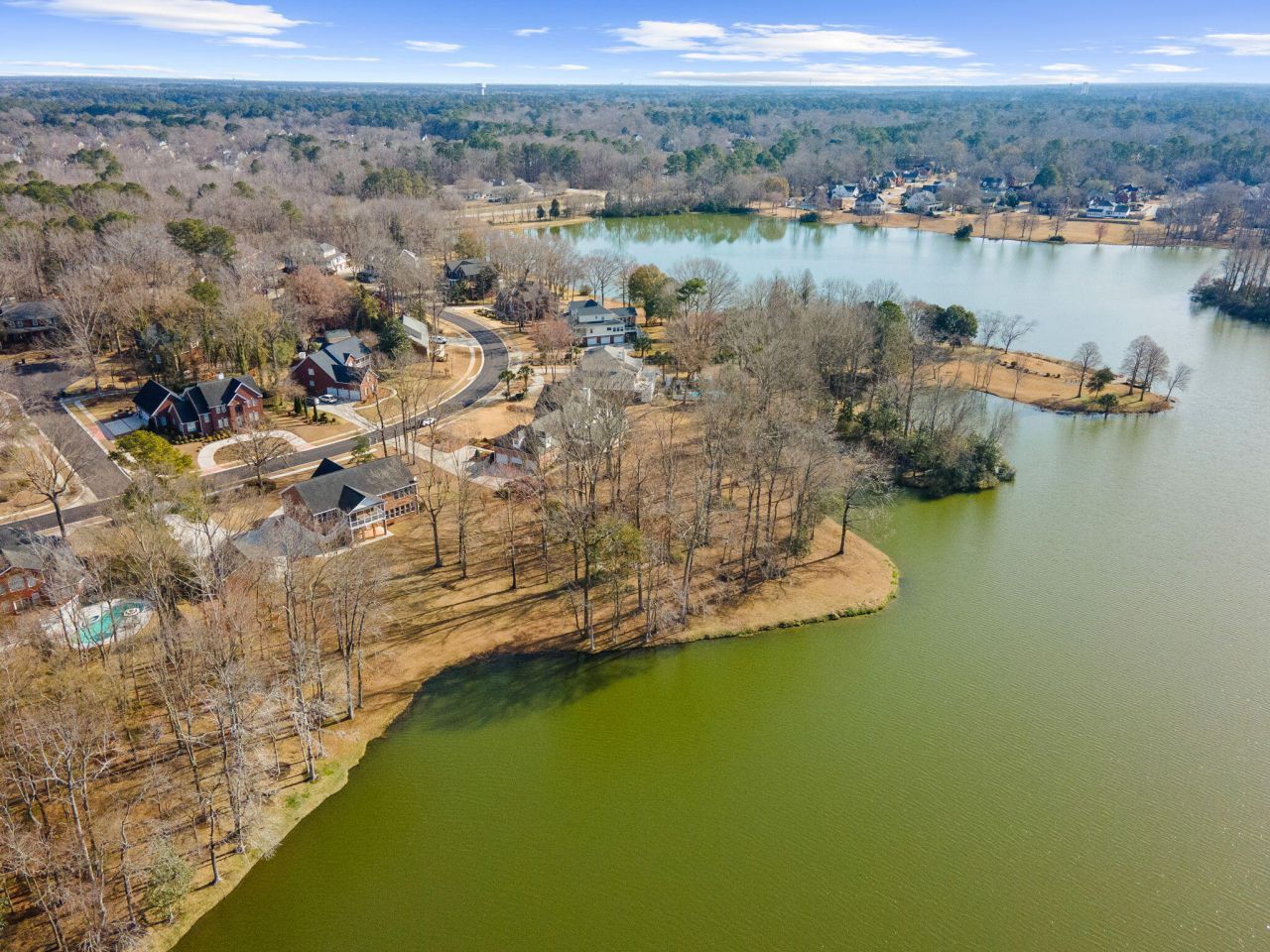 146 Loganberry Circle Photo 87