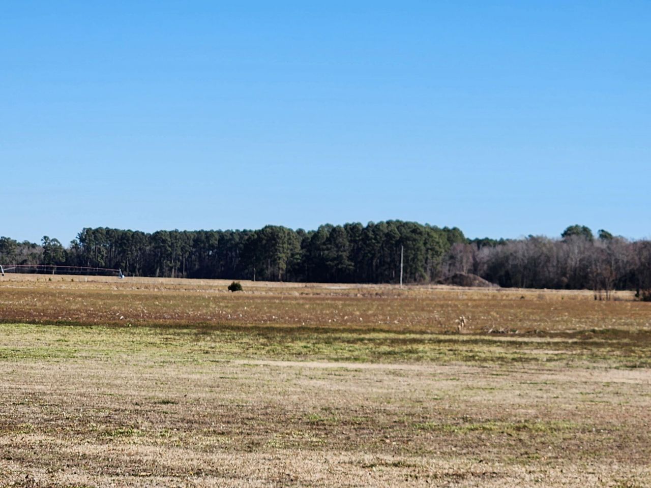 9851 Charleston Highway Photo 14