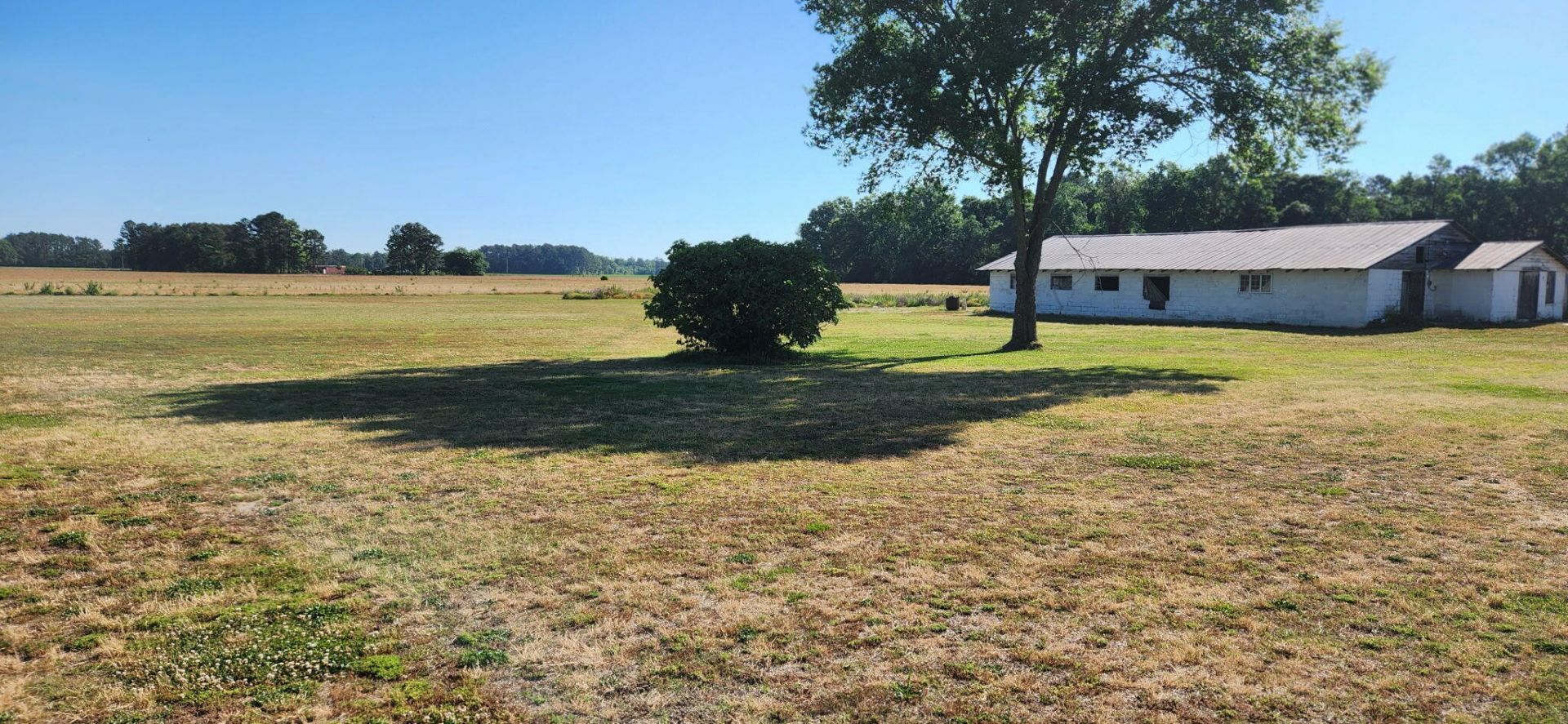 9851 Charleston Highway Photo 16