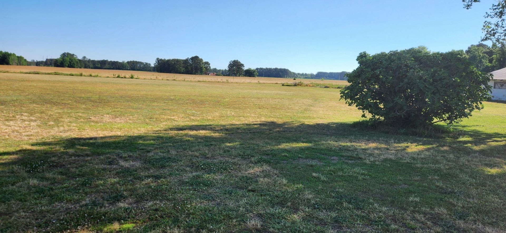 9851 Charleston Highway Photo 17