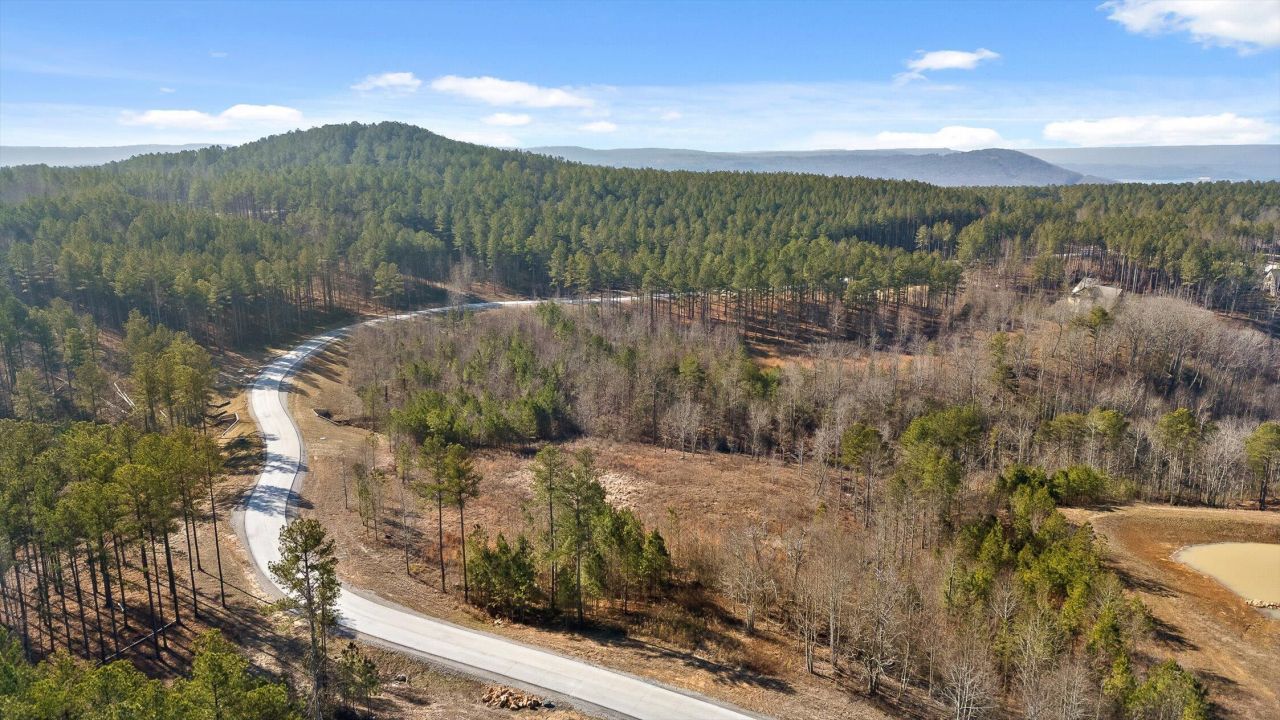 0 Birds Eye Way, Guild, TN 37340 Main Photo