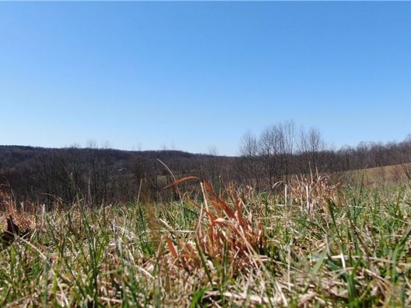 19656 Mill School Road, OH 45735 Photo 14