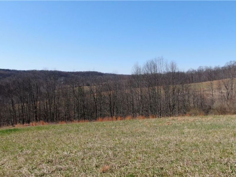 19656 Mill School Road, OH 45735 Photo 15