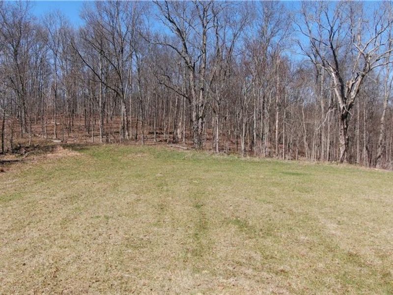 19656 Mill School Road, OH 45735 Photo 20