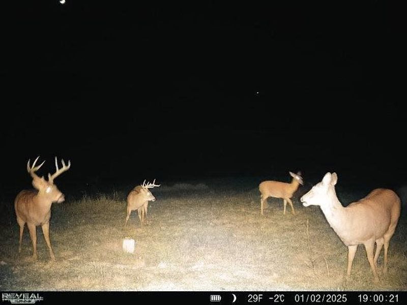 19656 Mill School Road, OH 45735 Photo 24