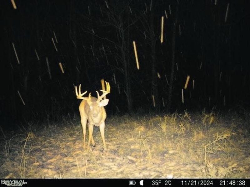 19656 Mill School Road, OH 45735 Photo 25