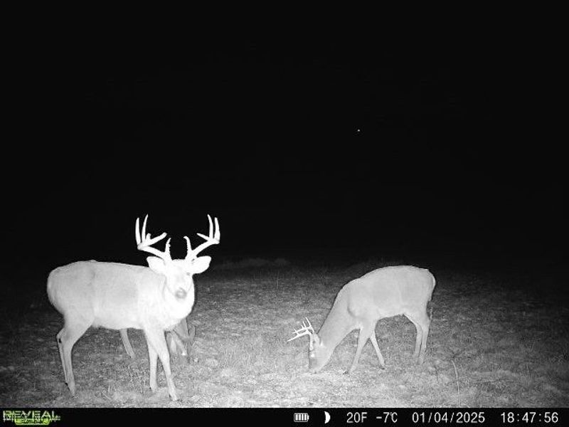 19656 Mill School Road, OH 45735 Photo 26