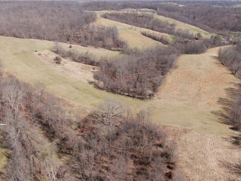 19656 Mill School Road, OH 45735 Photo 3