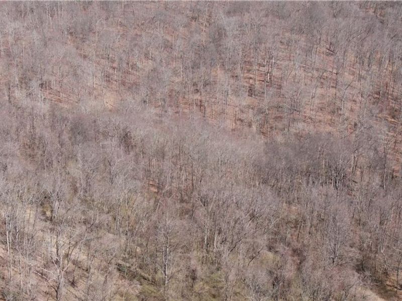 19656 Mill School Road, OH 45735 Photo 5