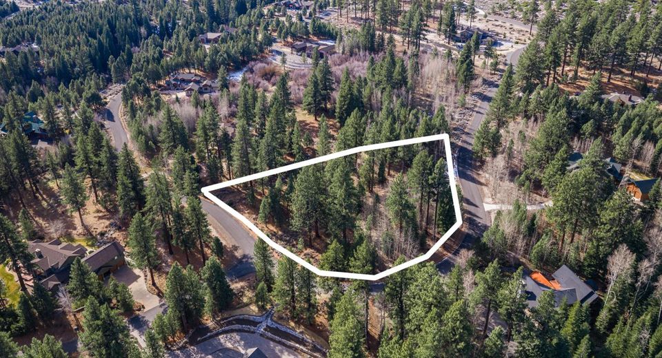 240 Forest Hill Way, Gardnerville, NV 89460 Photo