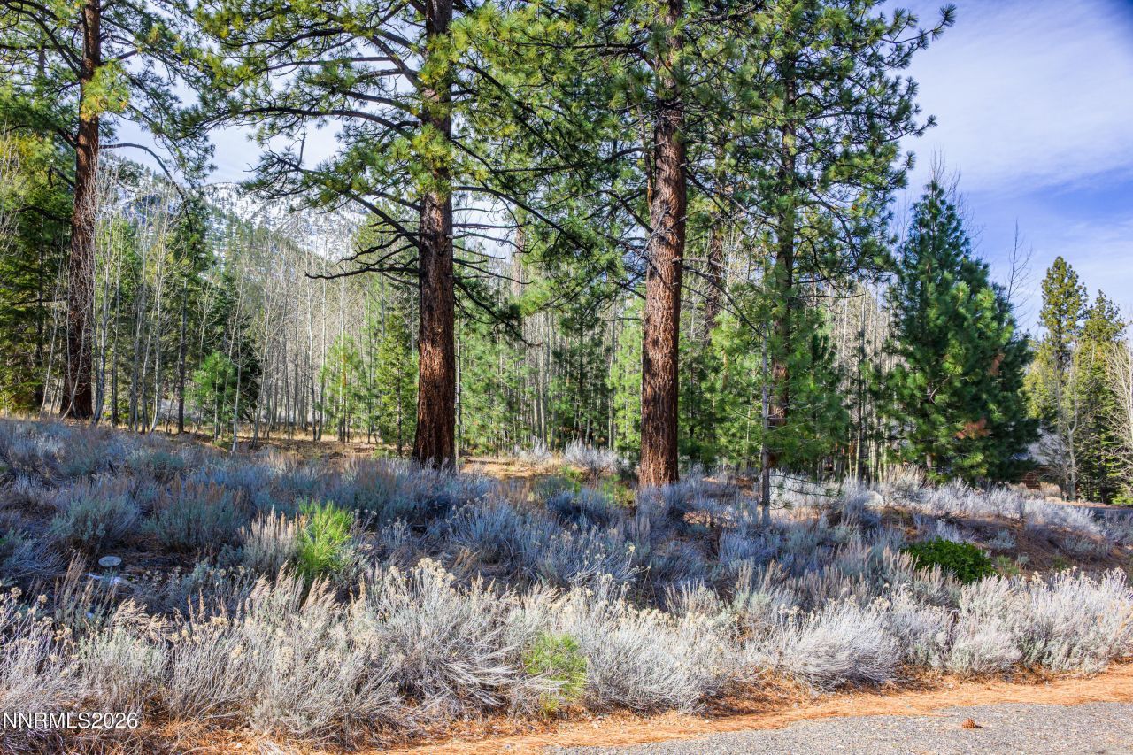 240 Forest Hill Way, Gardnerville, NV 89460 Photo