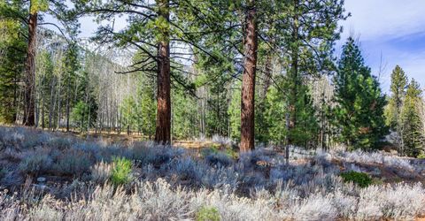 240 Forest Hill Way, Gardnerville, NV 89460 Photo