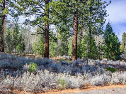 240 Forest Hill Way, Gardnerville, NV 89460 Photo