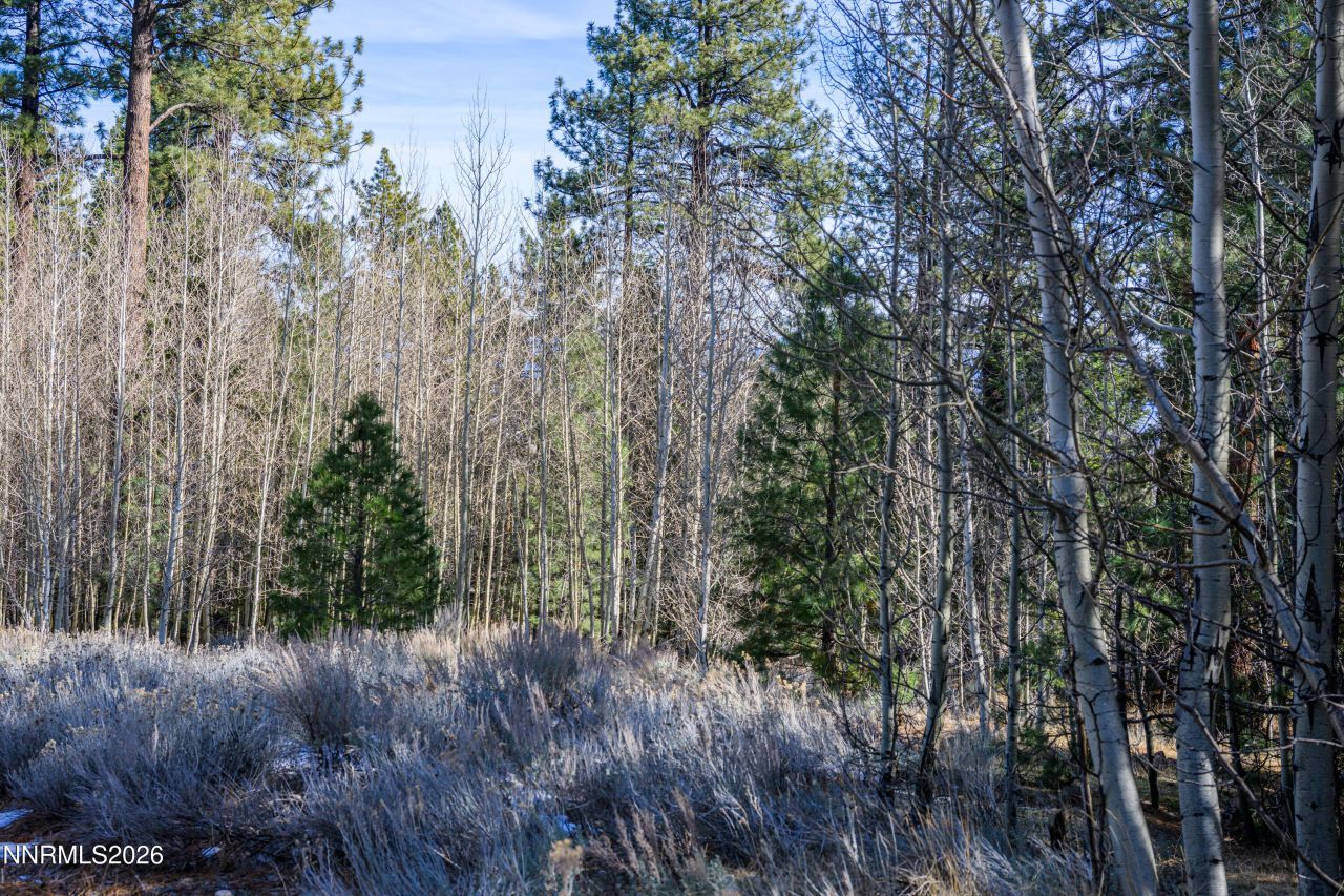 240 Forest Hill Way, Gardnerville, NV 89460 Photo