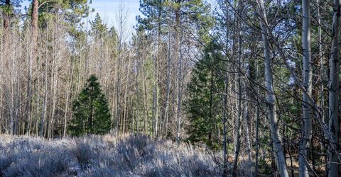 240 Forest Hill Way, Gardnerville, NV 89460 Photo