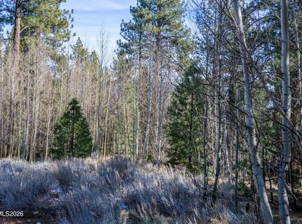 240 Forest Hill Way, Gardnerville, NV 89460 Photo