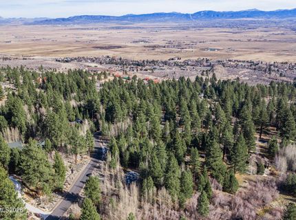 240 Forest Hill Way, Gardnerville, NV 89460 Photo