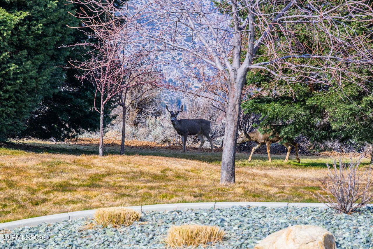 240 Forest Hill Way, Gardnerville, NV 89460 Photo