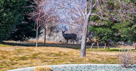 240 Forest Hill Way, Gardnerville, NV 89460 Photo