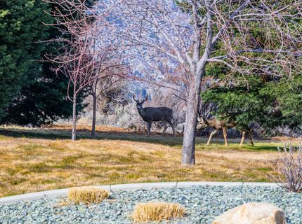 240 Forest Hill Way, Gardnerville, NV 89460 Photo