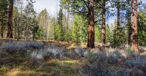 240 Forest Hill Way, Gardnerville, NV 89460 Photo