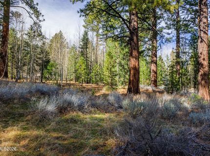 240 Forest Hill Way, Gardnerville, NV 89460 Photo