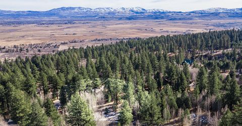 240 Forest Hill Way, Gardnerville, NV 89460 Photo