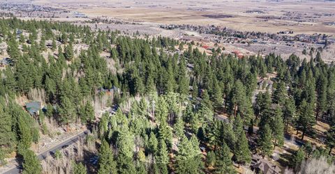 240 Forest Hill Way, Gardnerville, NV 89460 Photo