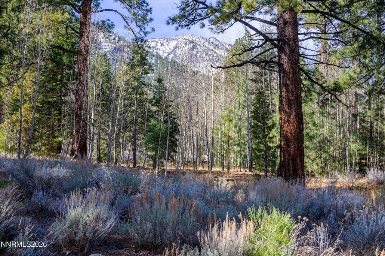 240 Forest Hill Way, Gardnerville, NV 89460 Photo