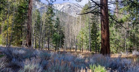 240 Forest Hill Way, Gardnerville, NV 89460 Photo