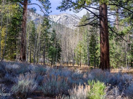 240 Forest Hill Way, Gardnerville, NV 89460 Photo