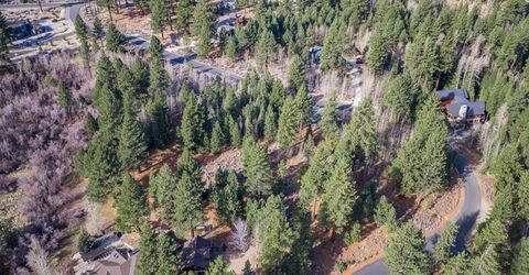 240 Forest Hill Way, Gardnerville, NV 89460 Photo