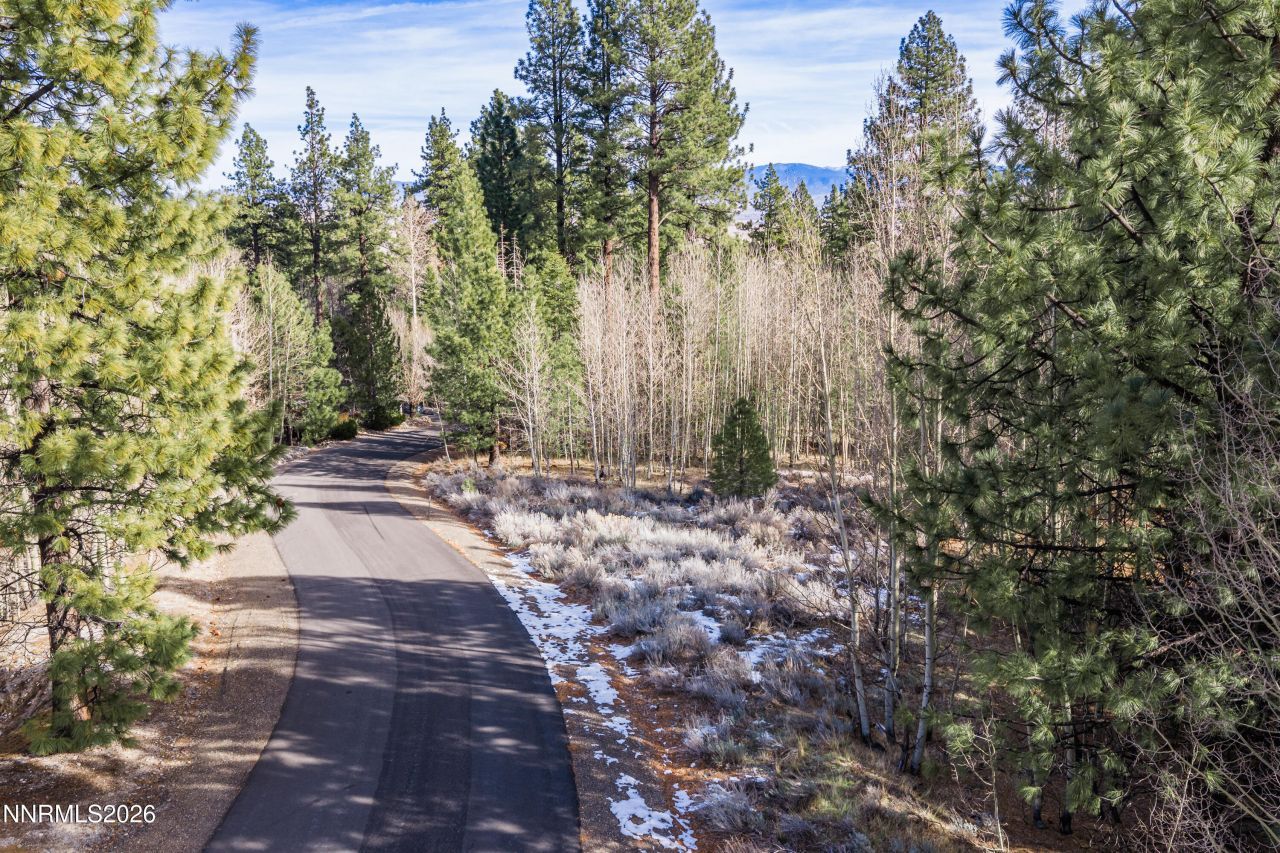 240 Forest Hill Way, Gardnerville, NV 89460 Photo