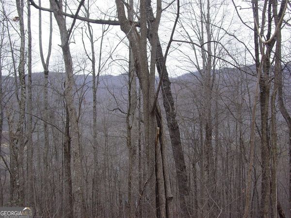 #16 Roaring Ridge, Hiawassee, GA 30546
